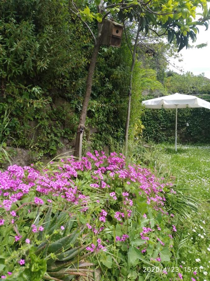 Apartamentos & Casa Rural Boada Con Jardin Interior Y Barbacoa Villamiel Zewnętrze zdjęcie